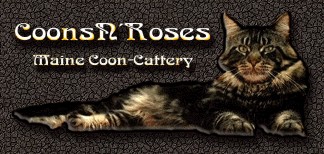 Der Zugang zu CoonsNRoses :-))
